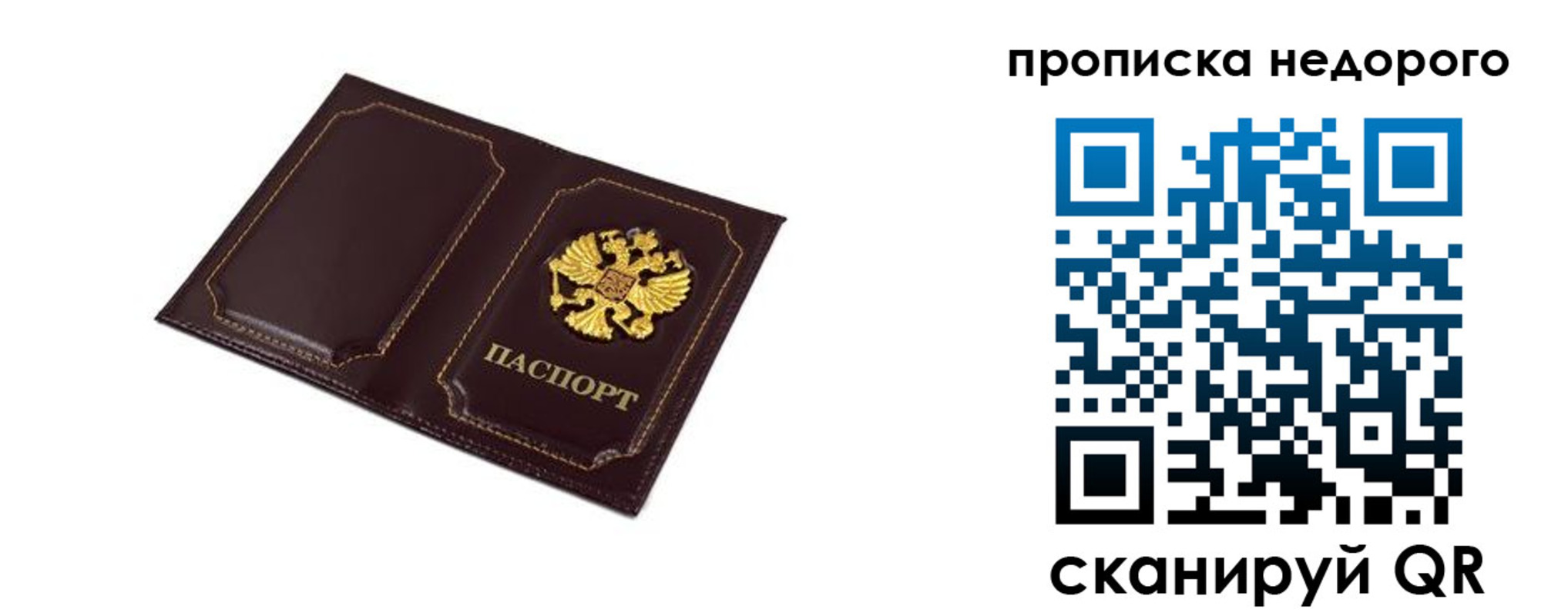 пропишу в квартире в Светлом